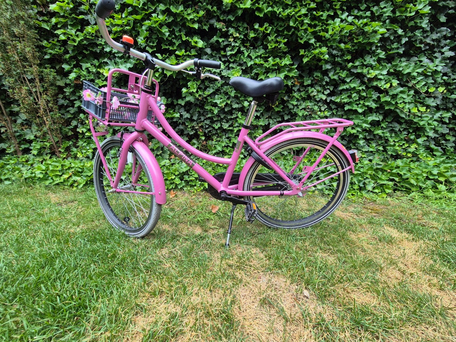 Alpina meisjes fiets roze met voordrager en mandje - 22 inch, Ophalen, Zo goed als nieuw, Velgrem, (Extra) lage instap