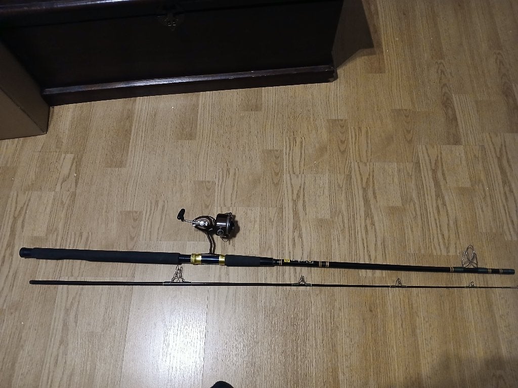 Vintage hengelset Daiwa in uitstekende staat, Watersport en Boten, Ophalen of Verzenden, Zo goed als nieuw, Complete hengel