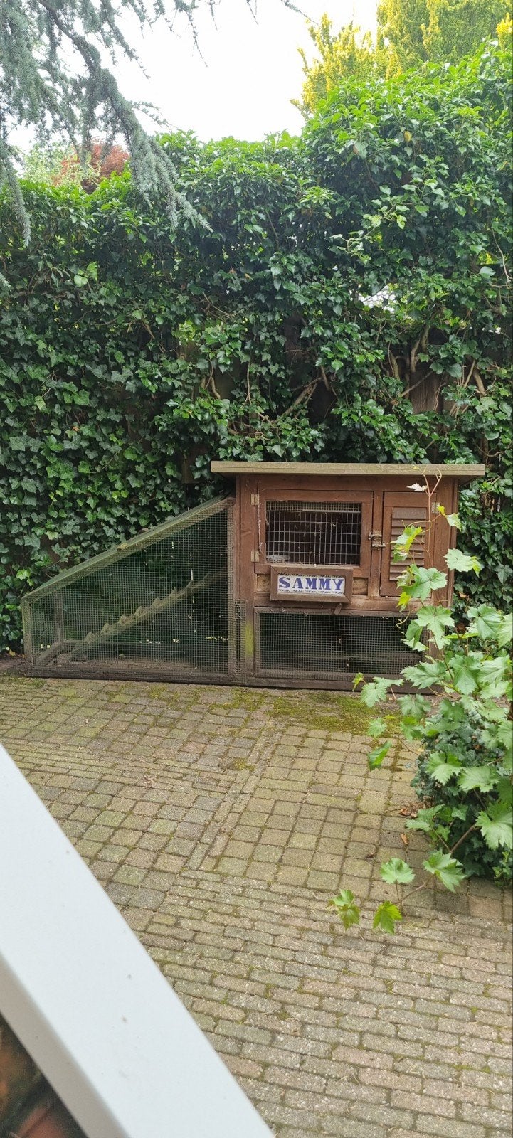 Konijnen  / kippen hok, Dieren en Toebehoren, Knaagdieren en Konijnen | Hokken en Kooien, Ophalen of Verzenden, 110 cm of meer