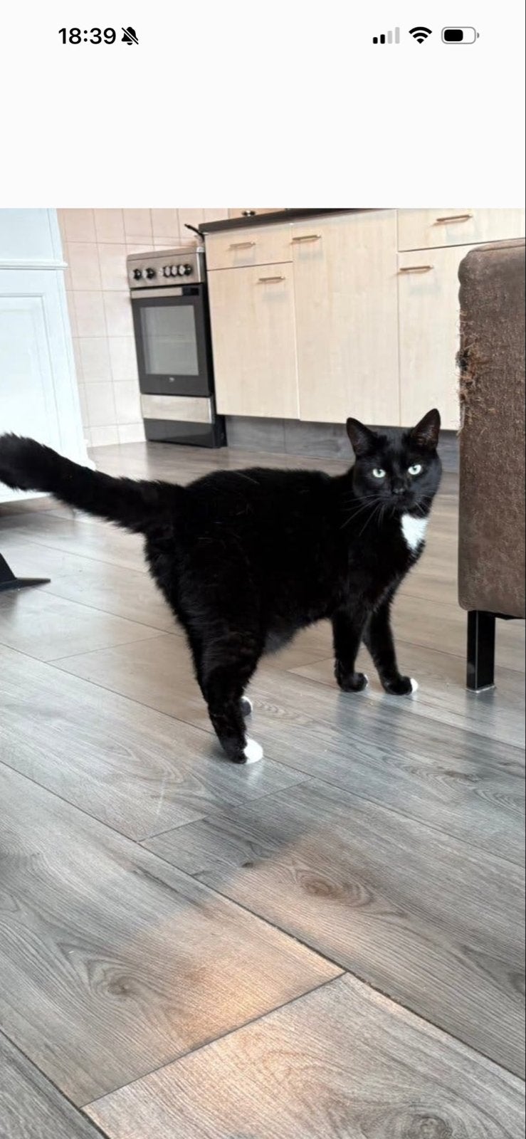 Kater
