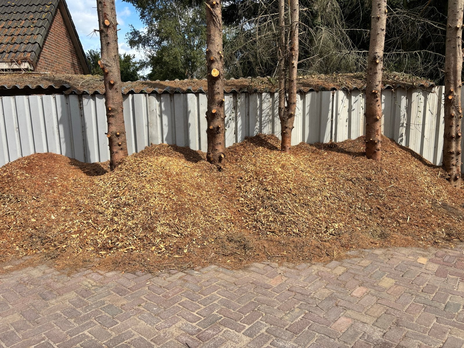 Gratis Houtsnippers Sparrenhout, Tuin en Terras, Haardhout, Minder dan 3 m³, Ophalen