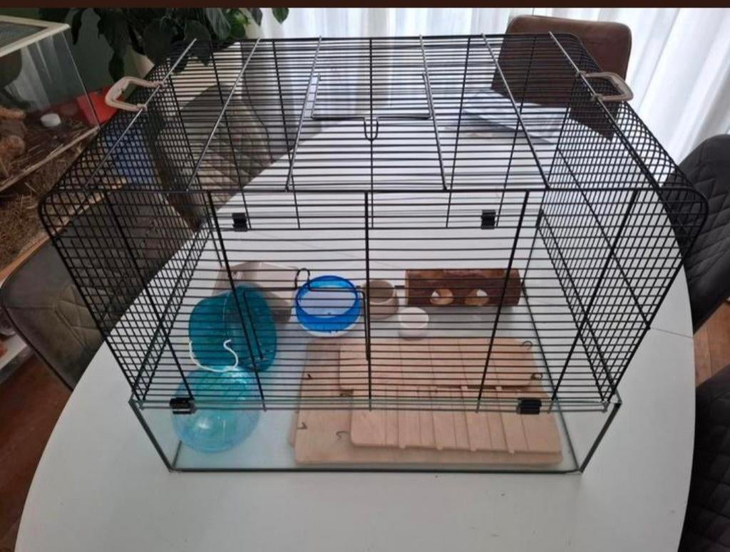 Hamster kooi met toebehoren., Ophalen, Zo goed als nieuw