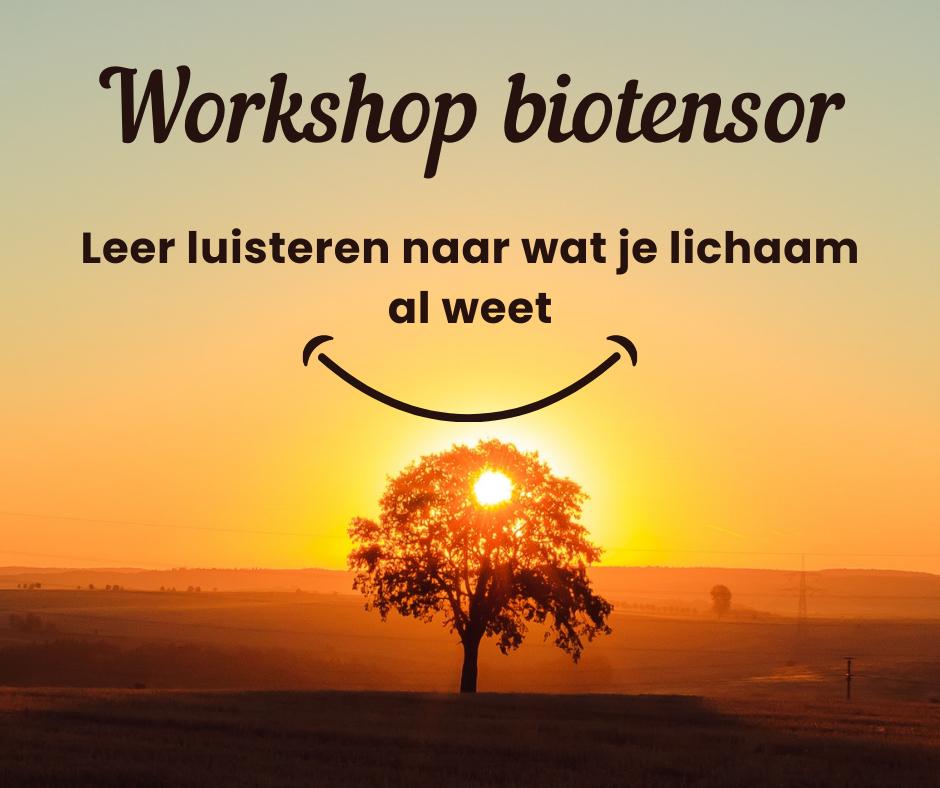 Workshop biotensor dinsdag 23 juni 2026 Noord Holland, Hobby en Vrije tijd, Cursusmateriaal, Nieuw, Meerdere media, Ophalen