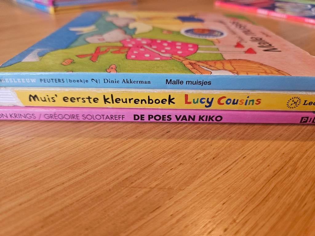 Leuke kinder voorleesboeken set, Diverse, Ophalen of Verzenden, Zo goed als nieuw, 2 tot 3 jaar