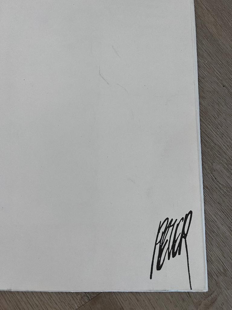 Peter van Straaten platen, Antiek en Kunst, Kunst | Tekeningen en Foto's, Ophalen