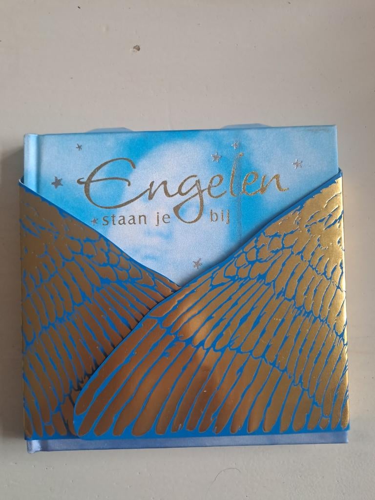 Engelen staan je bij, Boeken, Ophalen of Verzenden, Zo goed als nieuw