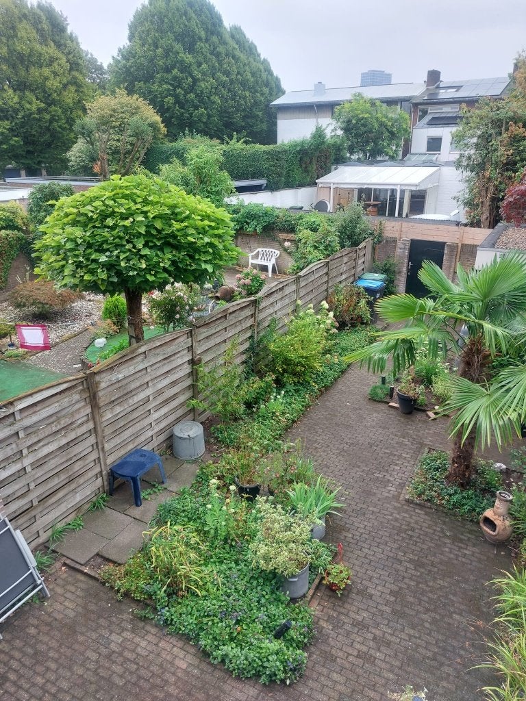 gratis afhalen houten schutting 12,5m, Tuin en Terras, Ophalen, 6 meter of meer, Hout, 1 tot 2 meter