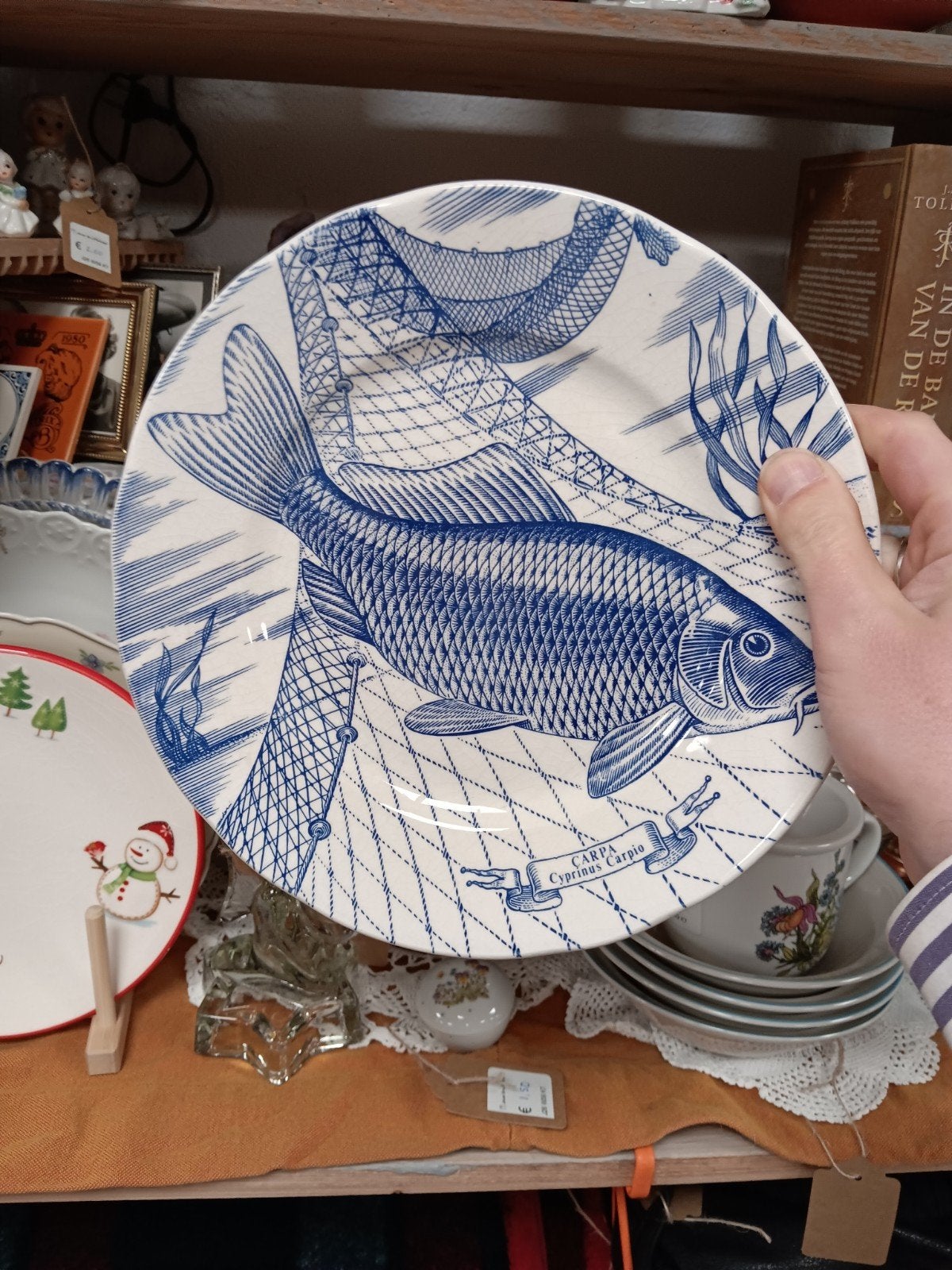 Vintage Ironstone bord met karperprint - Engels servies, Ophalen of Verzenden