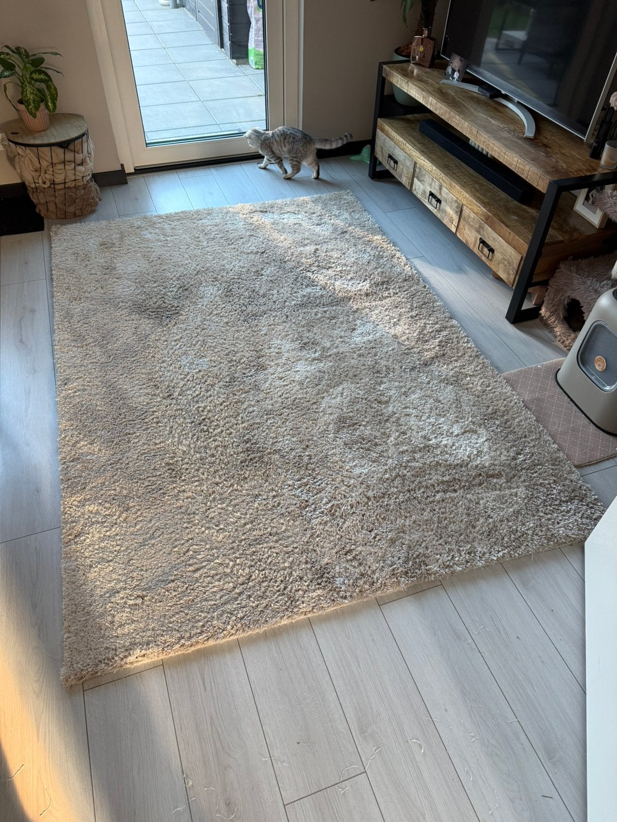 Vloerkleed beige teddy, Ophalen, Beige, 150 tot 200 cm, 200 cm of meer