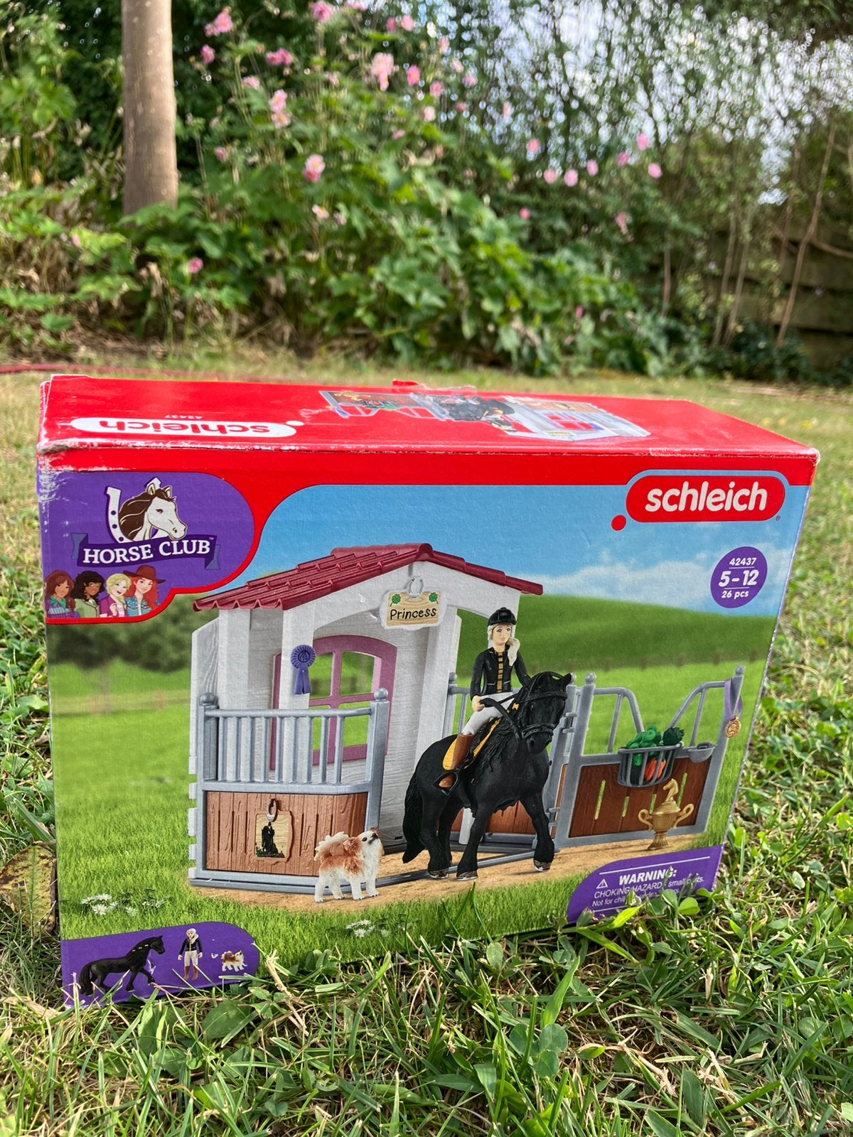 Schleich horse club Tori en Princess, Ophalen of Verzenden, Gebruikt