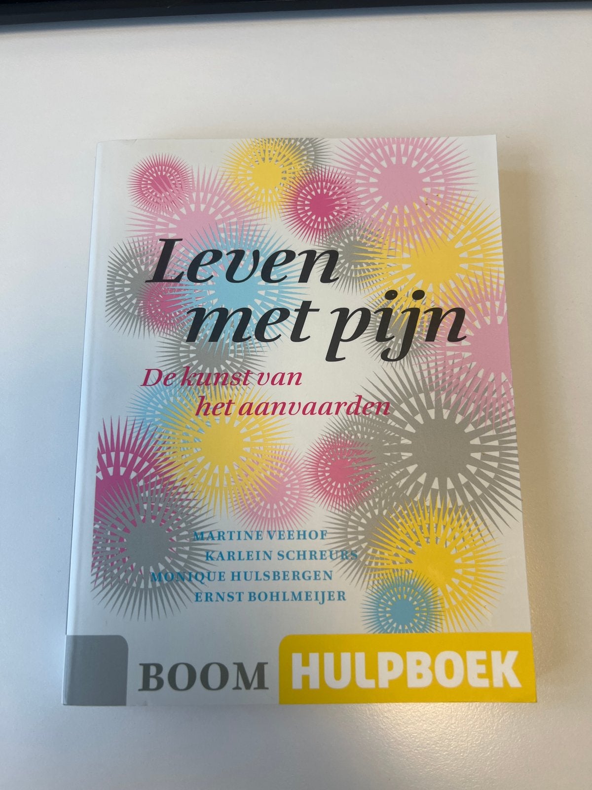Nieuw boek: Leven met pijn - De kunst van het aanvaarden, Ophalen of Verzenden, Nieuw