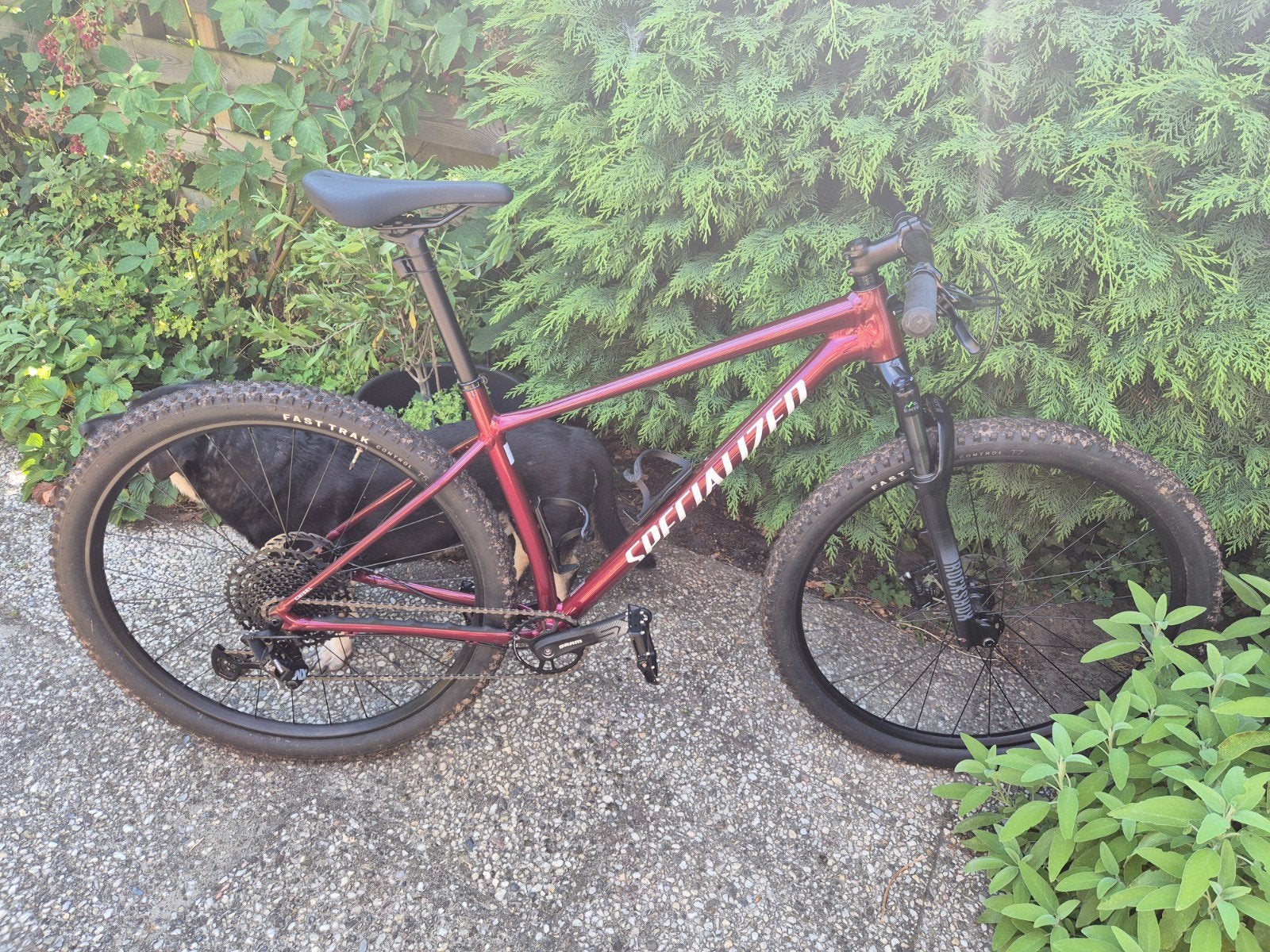 Specialized Chisel Mountainbike - Maat L, SRAM SX Eagle, Fietsen en Brommers, Overige merken, Vering, Ophalen of Verzenden, Meer dan 20 versnellingen