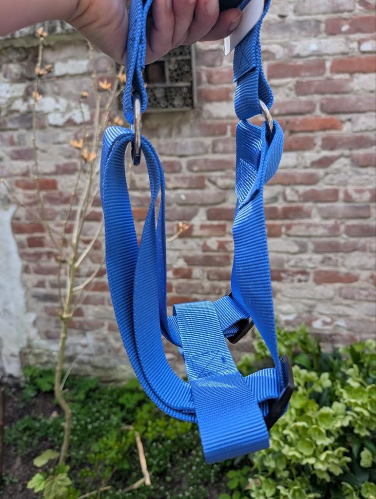 Tuigje hond groot, Dieren en Toebehoren, Ophalen of Verzenden, Nieuw, Hondenriem