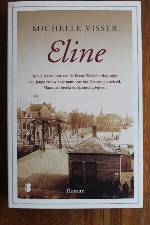 Michelle Visser - Eline (WOI Drenthe Spaanse Griep), Boeken, Ophalen of Verzenden, Gelezen