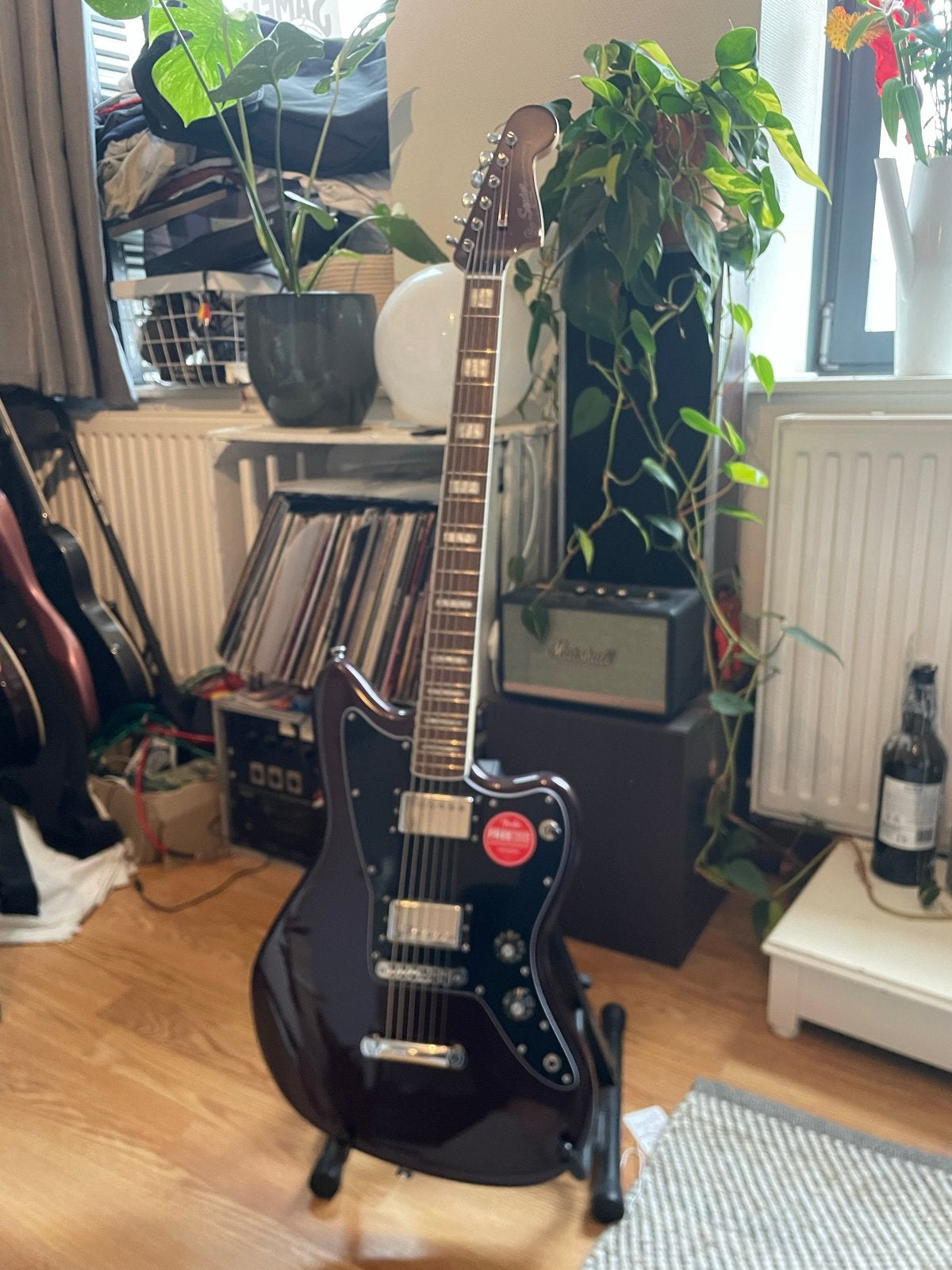 Squier Paranormal Jazzmaster Baritone OXB, by Fender, Muziek en Instrumenten, Ophalen, Nieuw, Solid body, Fender