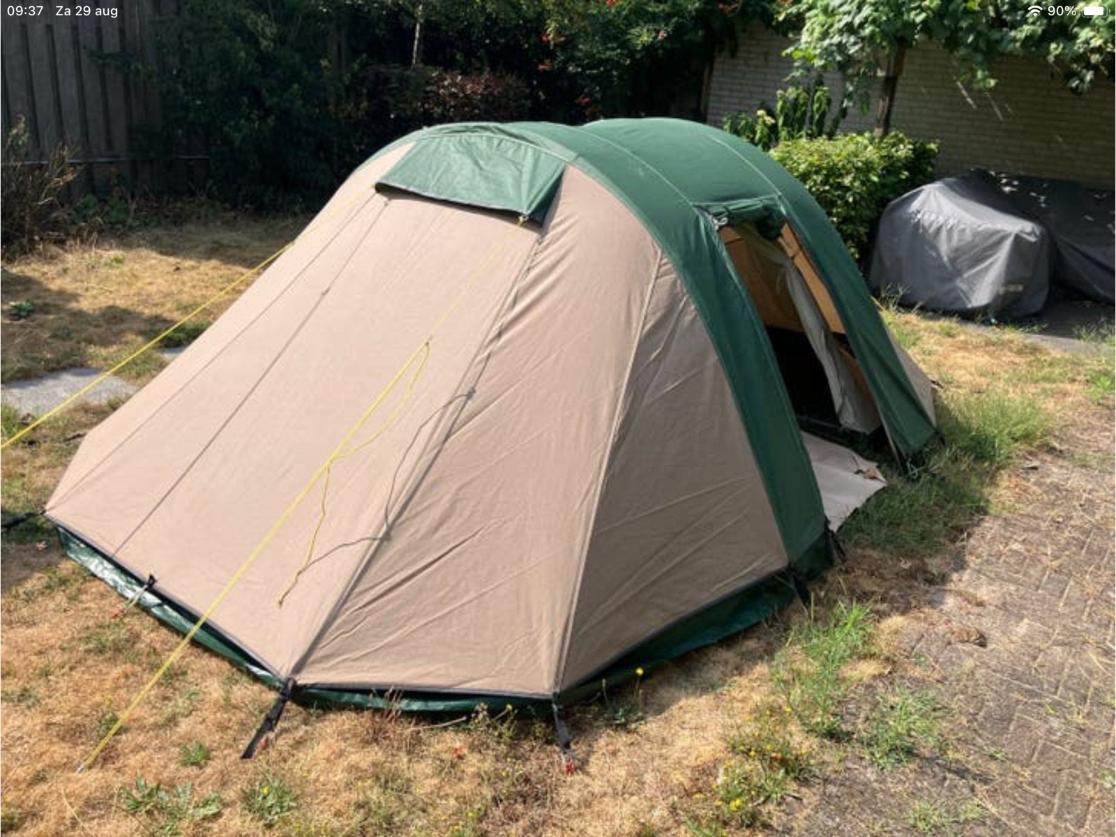 Falco Buizerd 2 (mini)tunneltent - degelijke tent van Bax, Caravans en Kamperen, Ophalen, Gebruikt, Tot en met 2