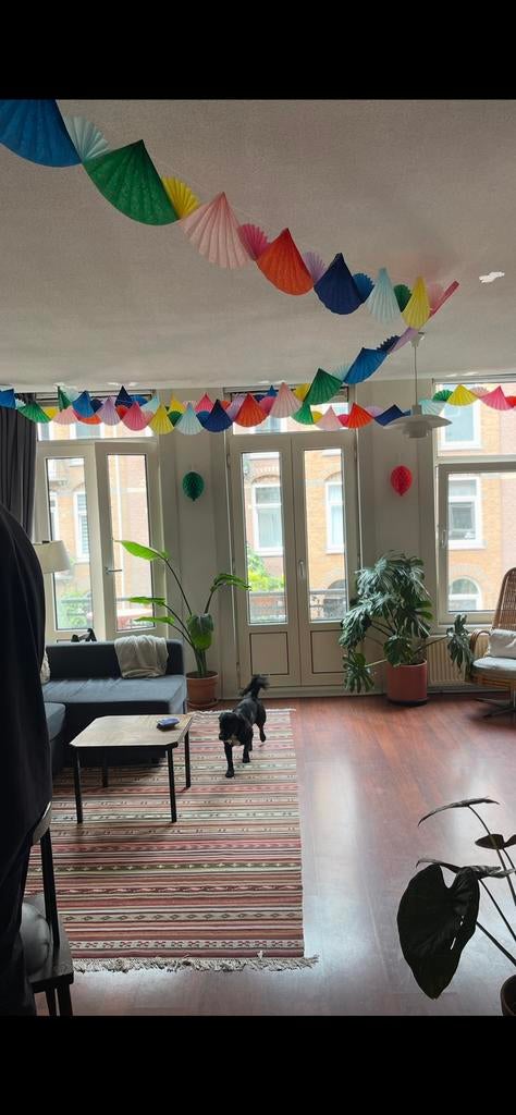 Party decorations garlands / slinger, Ophalen of Verzenden, Zo goed als nieuw, Versiering