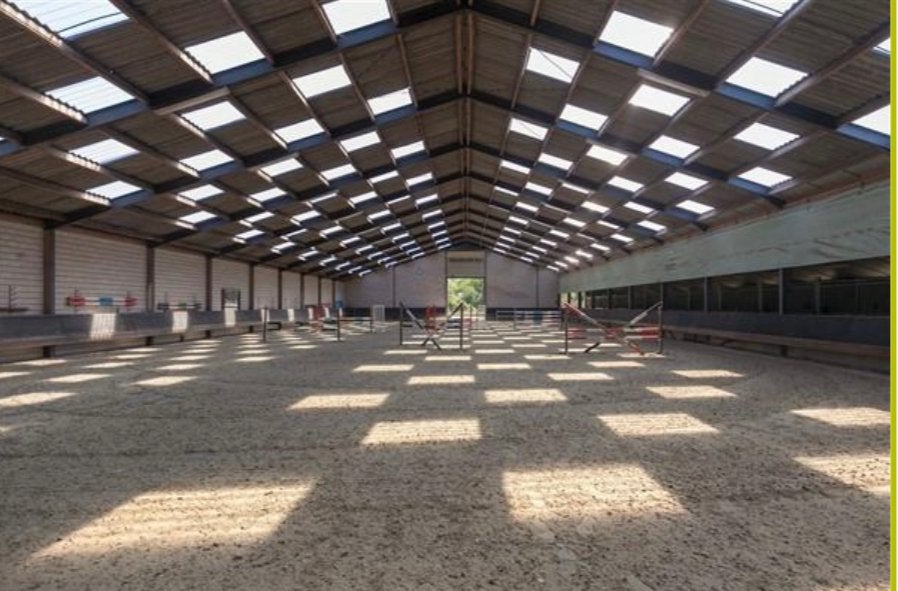 Leuke lease paarden zoeken een leaser., Dieren en Toebehoren, Weidegang, 4 paarden of pony's of meer