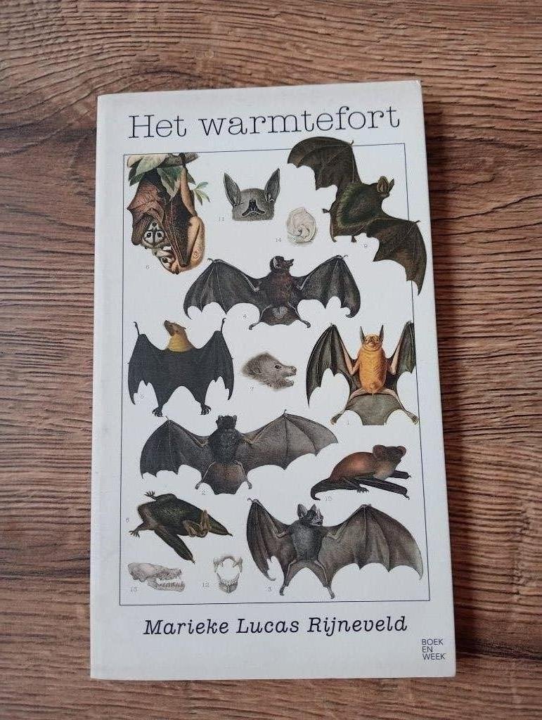 Het warmtefort - Lucas Rijneveld, Ophalen of Verzenden, Zo goed als nieuw, Nederland, Lucas Rijneveld