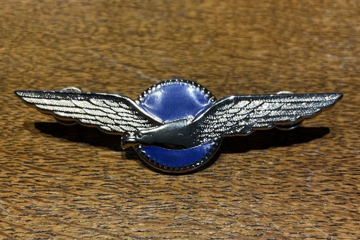 Dutch Klu ( Koninklijke Luchtmacht ) Vlieger wing blauw, Ophalen of Verzenden, Zo goed als nieuw, Patch, Badge of Embleem