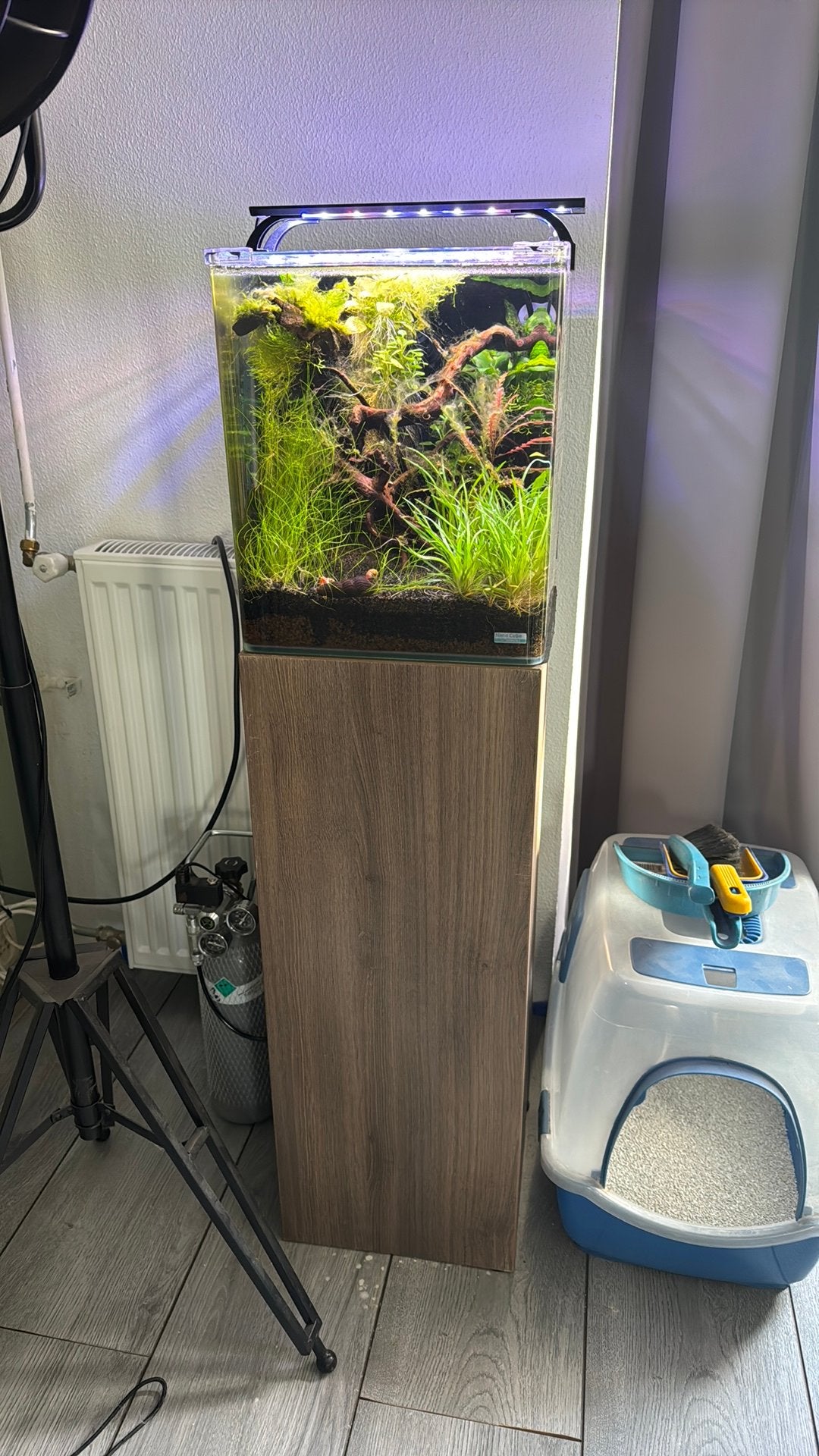 Dennerle Cube 30, Ophalen, Zo goed als nieuw, Gevuld zoetwateraquarium