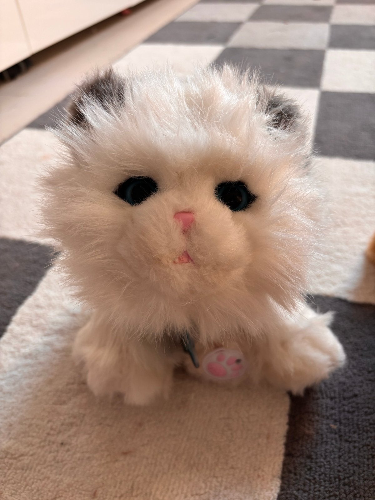 Little Live Pets interactieve kat - miauwt en beweegt, Ophalen, Gebruikt, Overige merken, Kat