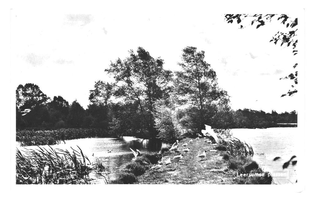 983749 Leersum Leersummerplassen 1960 Utr Gelopen met zegel
