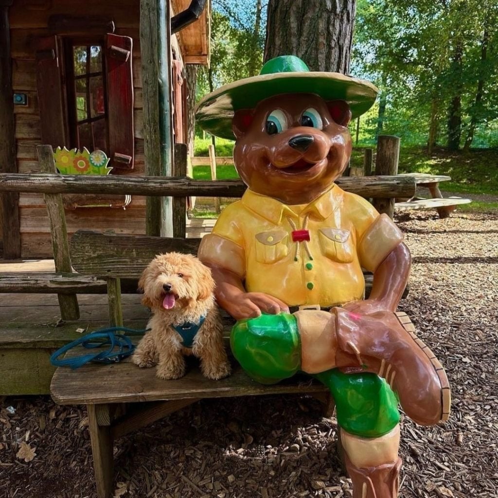 Mascottes met houten bankje 140cm diverse designs - nieuw, Ophalen of Verzenden, Nieuw, Overige materialen, Overige typen