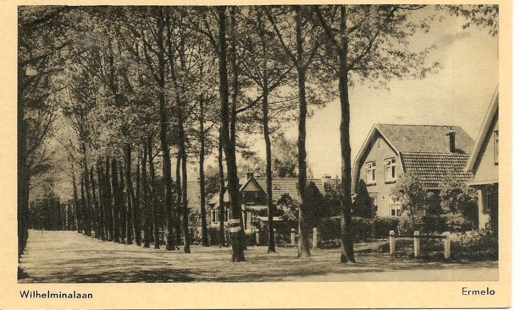Ansichtkaart Wilhelminapark Ermelo Gelderland, Ophalen of Verzenden, 1940 tot 1960, Ongelopen, Gelderland