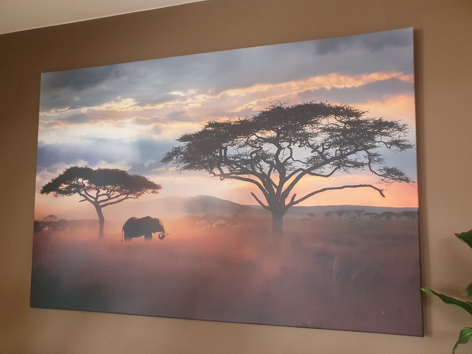 Canvas schilderij Afrikaanse savanne met olifant, 50 – 75, Ophalen of Verzenden, Zo goed als nieuw, Schilderij