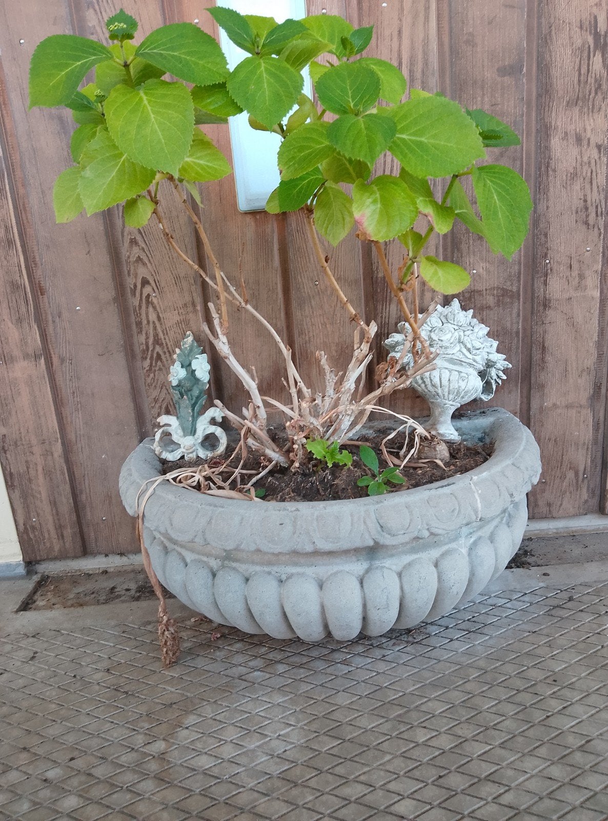 Gratis af te halen: Zware cementen plantenbak, Tuin en Terras, Bloembakken en Plantenbakken, Ophalen