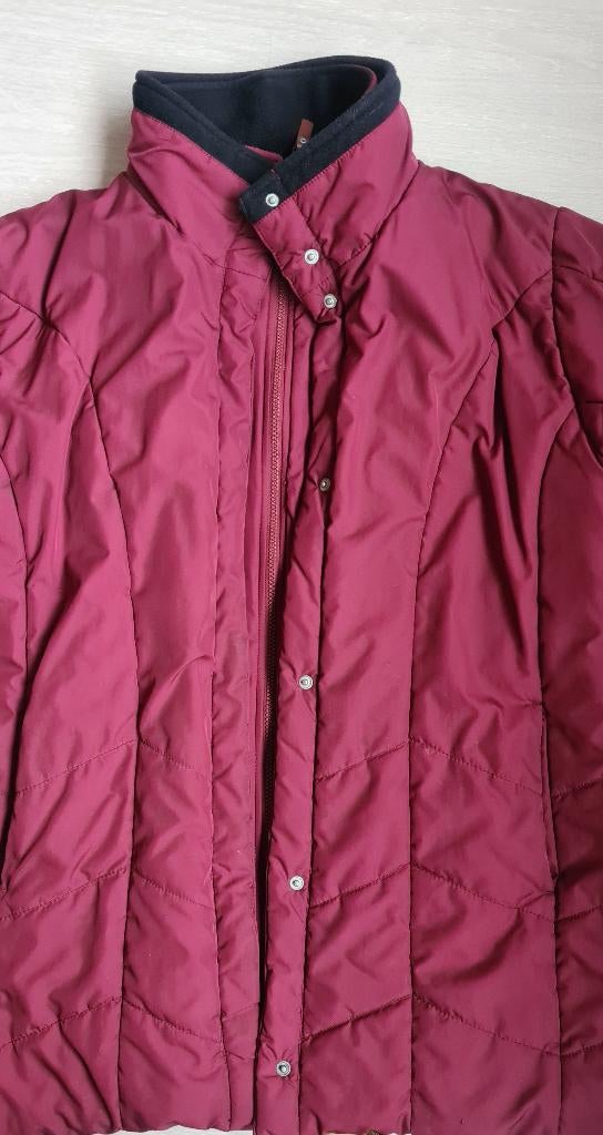 Dames winterjas, maat 50, bordeau, Kleding | Dames, Jassen | Winter, Ophalen of Verzenden, Gedragen, Maat 46/48 (XL) of groter