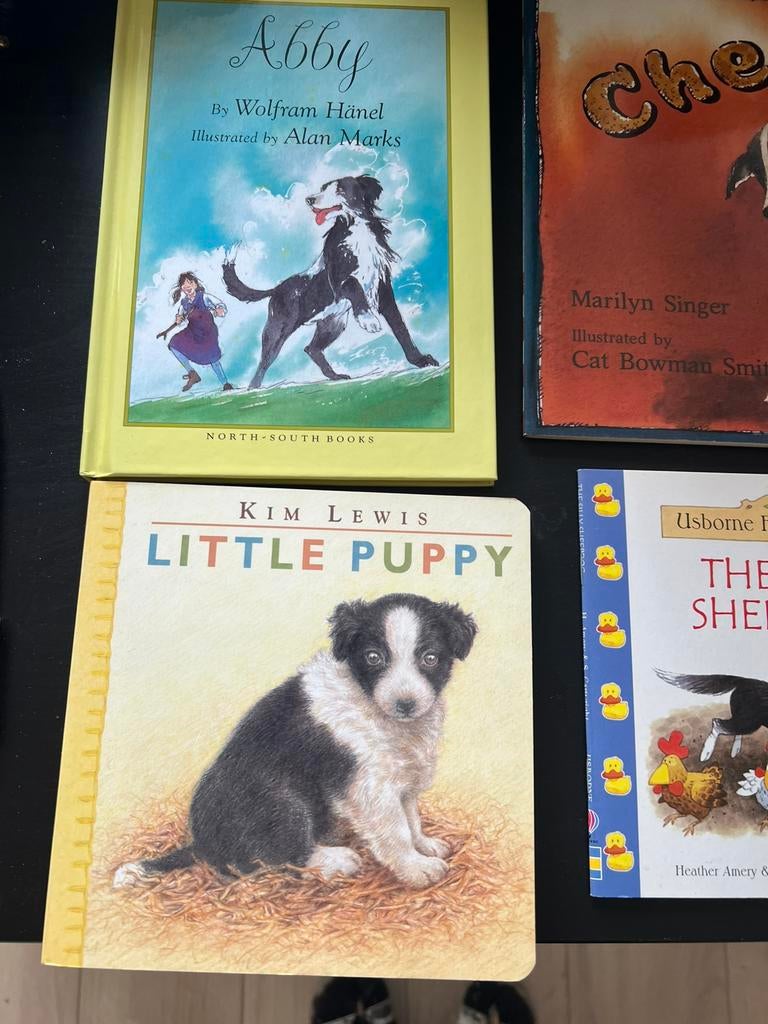 Engelstalige kinderboeken Border Collie. Avonturenverhalen, Ophalen of Verzenden, Zo goed als nieuw