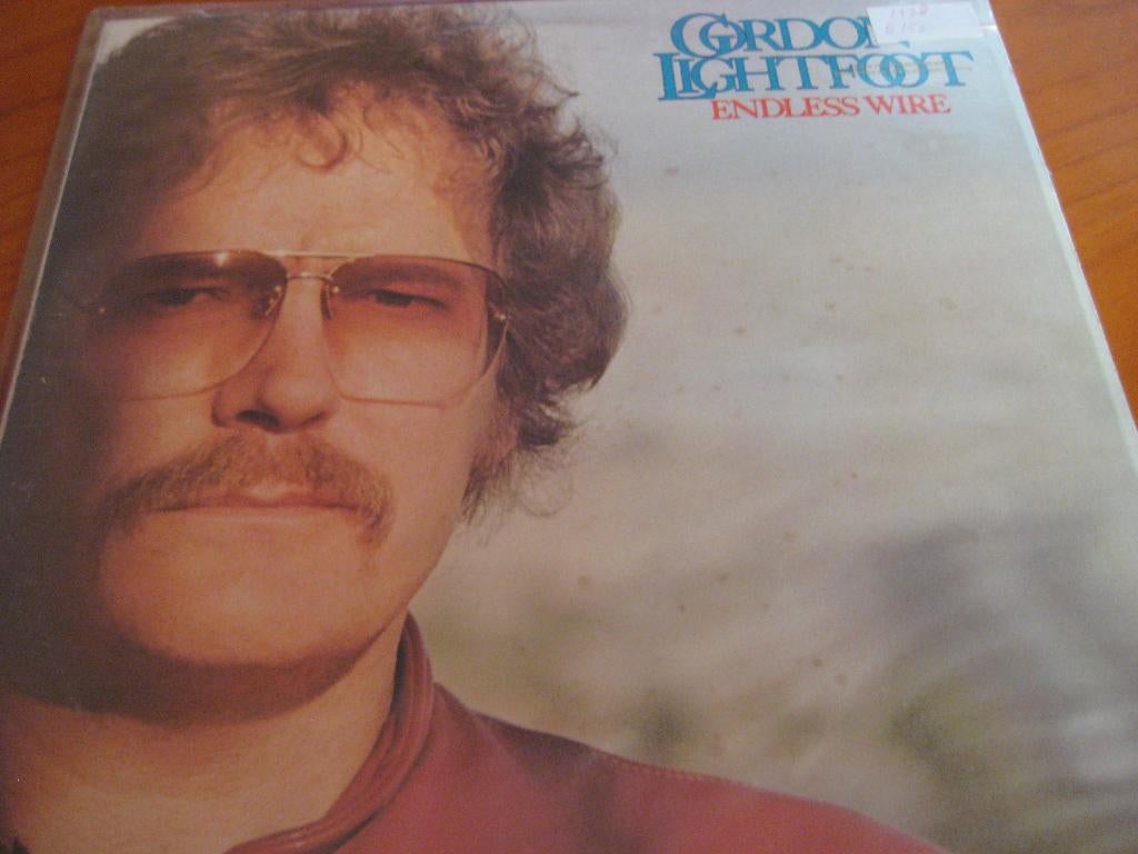 LP, Gordon Lightfoot: Endless wire, Cd's en Dvd's, Vinyl | Pop, Ophalen of Verzenden, Zo goed als nieuw, 12 inch