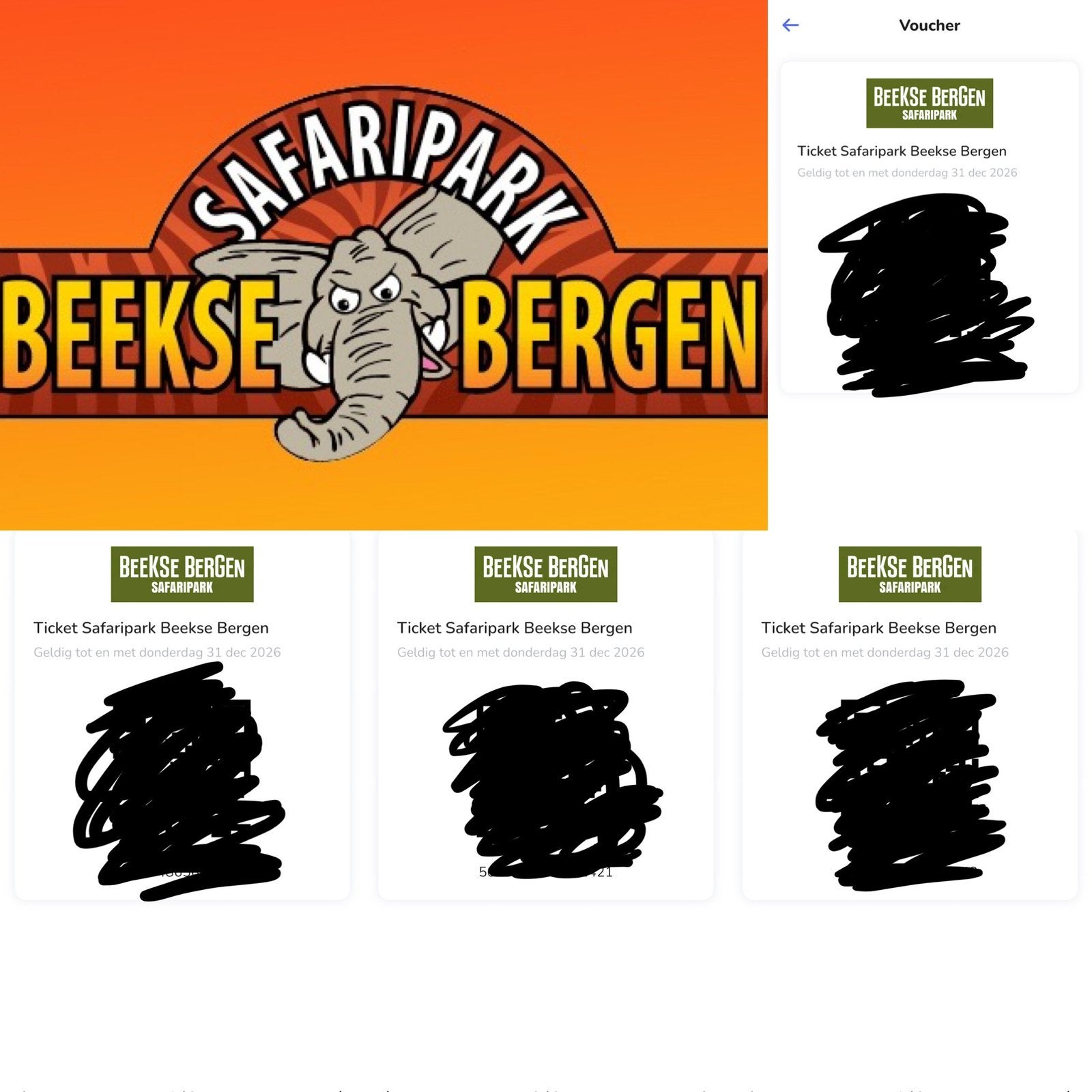 Safaripark Beekse Bergen, Drie personen of meer