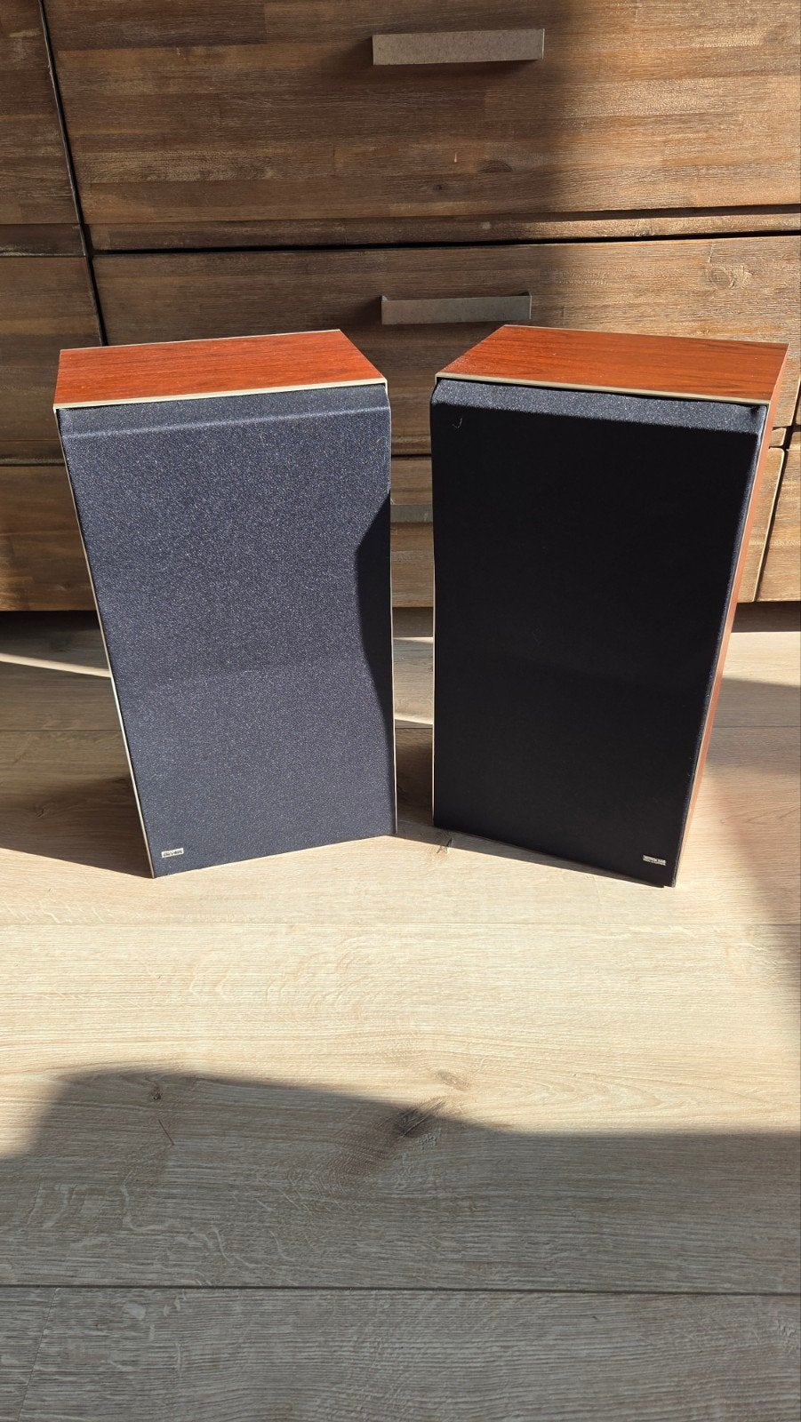 Beovox S45-2 Bang Olufsen B&O luidsprekers, Ophalen, Gebruikt, 60 tot 120 watt, Bang & Olufsen