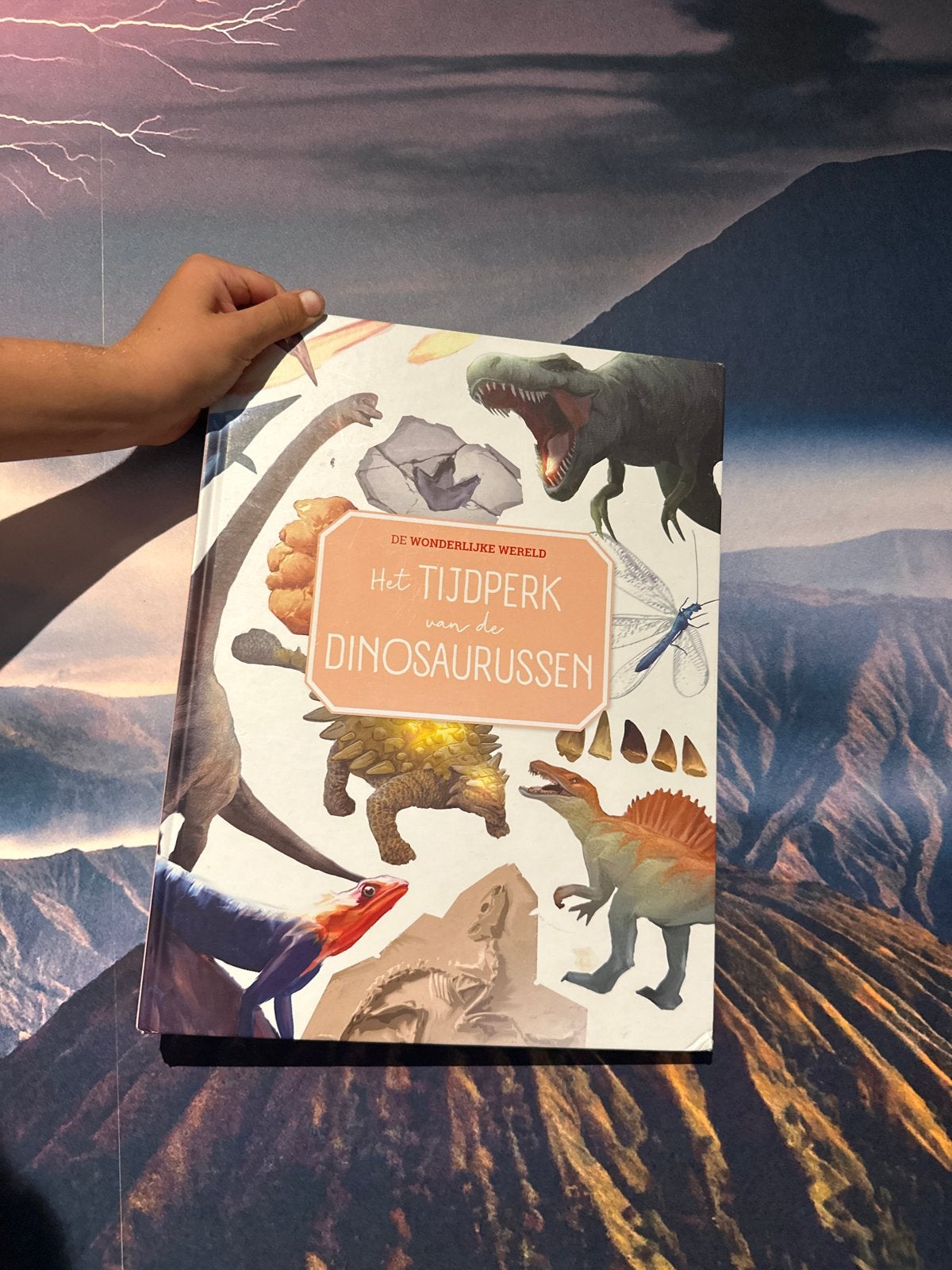 Het Tijdperk van de Dinosaurussen - Educatief Kinderboek, Boeken, Kinderboeken | Jeugd | onder 10 jaar, Ophalen of Verzenden, Zo goed als nieuw