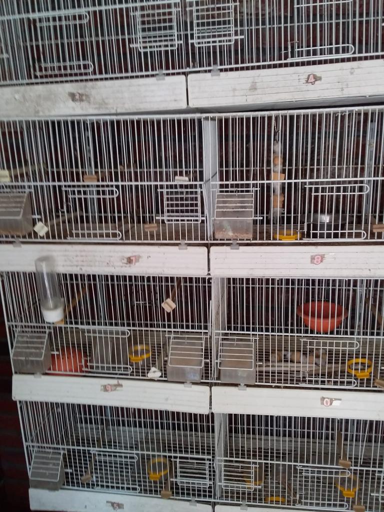 4 kweek kooien, Ophalen of Verzenden, Zo goed als nieuw, Hout, Broedkooi of Kweekkooi