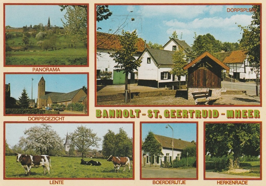 BANHOLT ST. GEERTRUID MHEER  Panorama Koeien Herkenrade, Verzenden, 1980 tot heden, Gelopen, Limburg