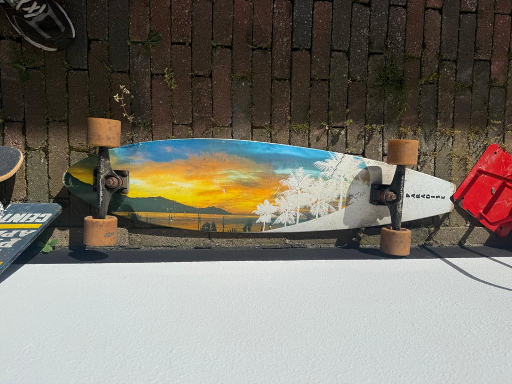 Paradise Longboard met palmboom design, Ophalen, Zo goed als nieuw, Skateboard, Longboard