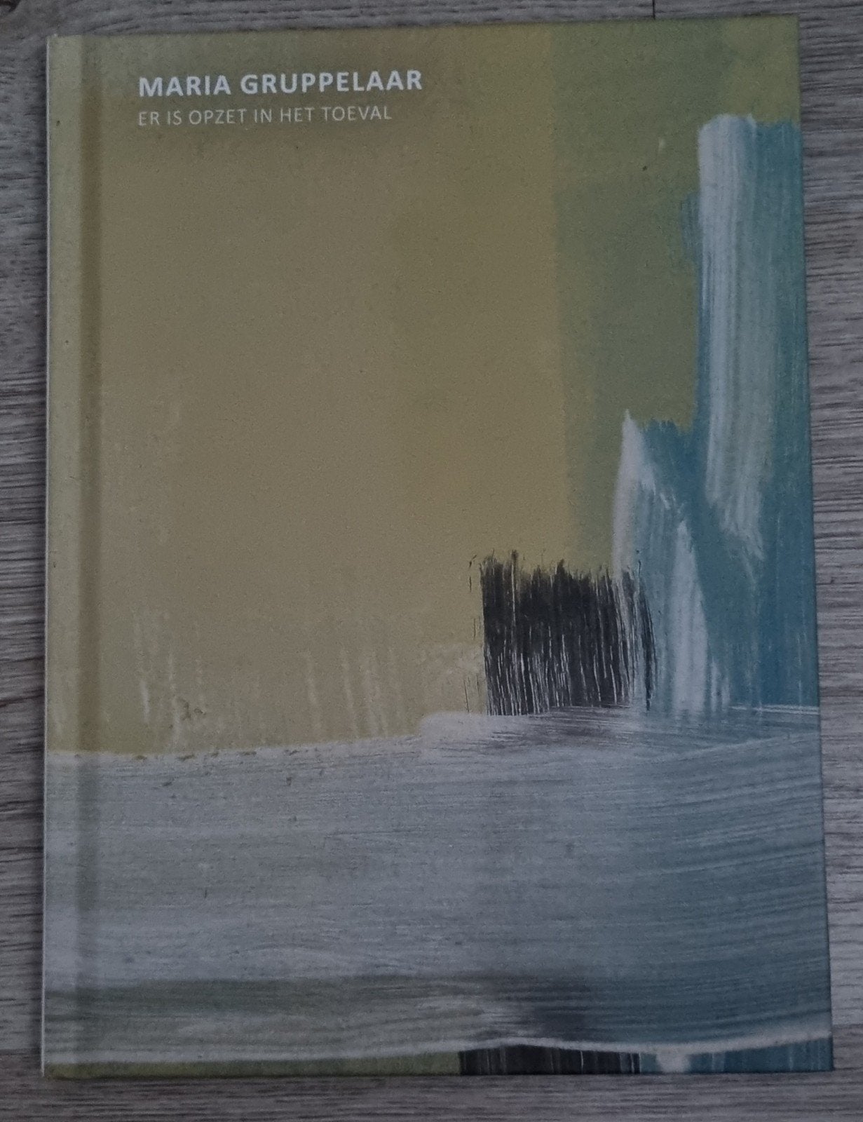 Maria Gruppelaar - Er is opzet in het toeval (kunstboek), Ophalen of Verzenden