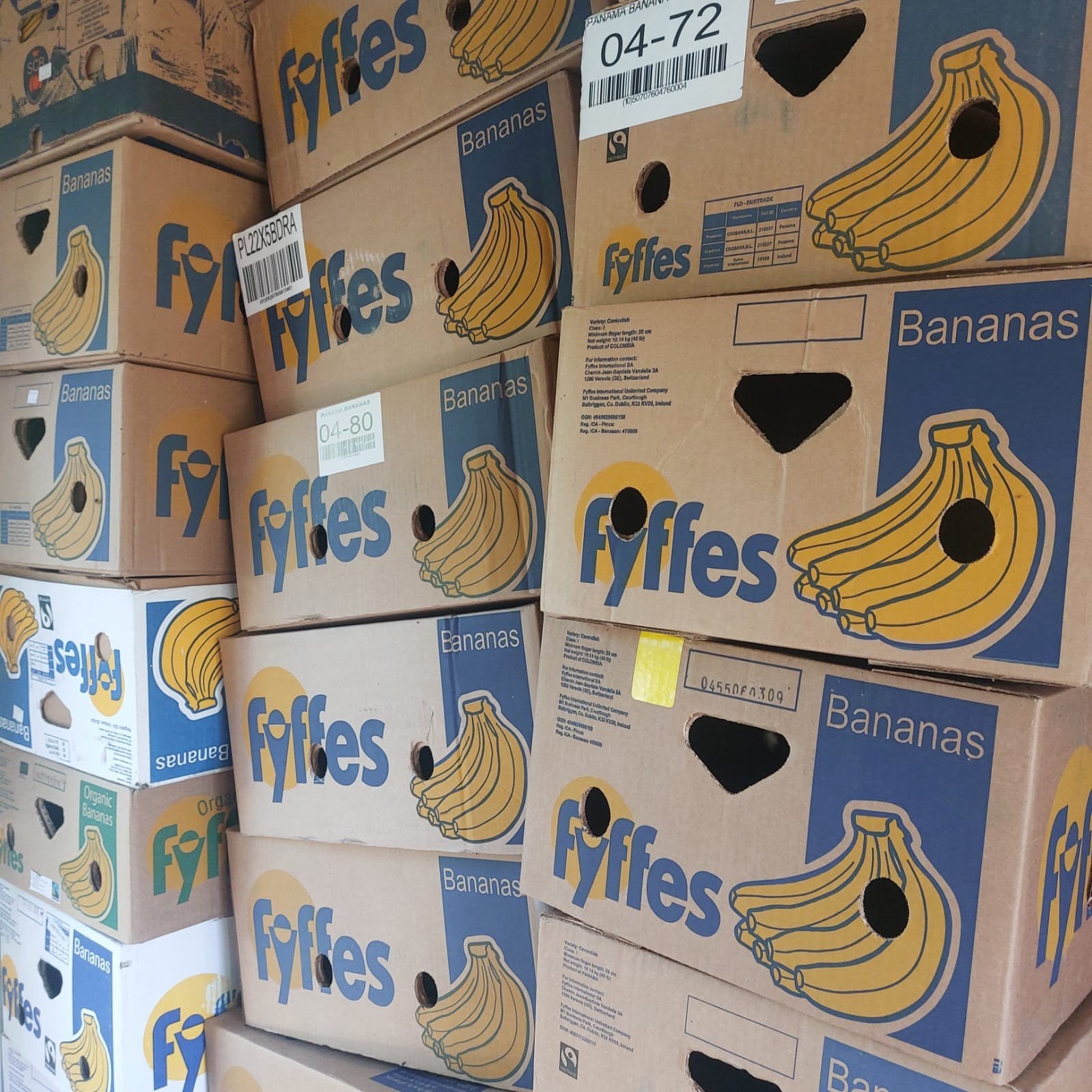 Gratis bananendozen of verhuisdozen, Doe-het-zelf en Verbouw, Kratten en Dozen, Ophalen, 50 tot 75 cm, Minder dan 40 cm, 35 tot 50 cm