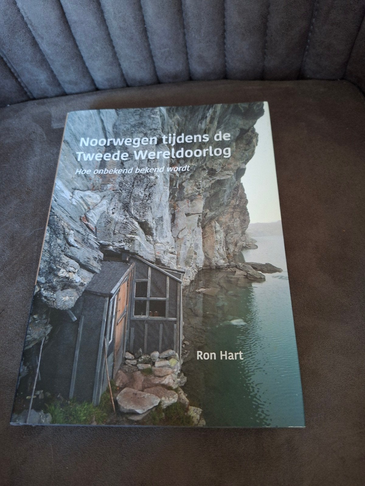 Noorwegen tijdens de Tweede Wereldoorlog - Ron Hart, Boeken, Oorlog en Militair, Tweede Wereldoorlog, Ophalen of Verzenden, Zo goed als nieuw