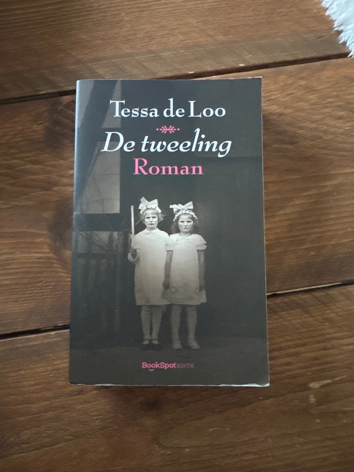 Tessa de Loo - De Tweeling (Roman), Ophalen of Verzenden, Gelezen, Nederland
