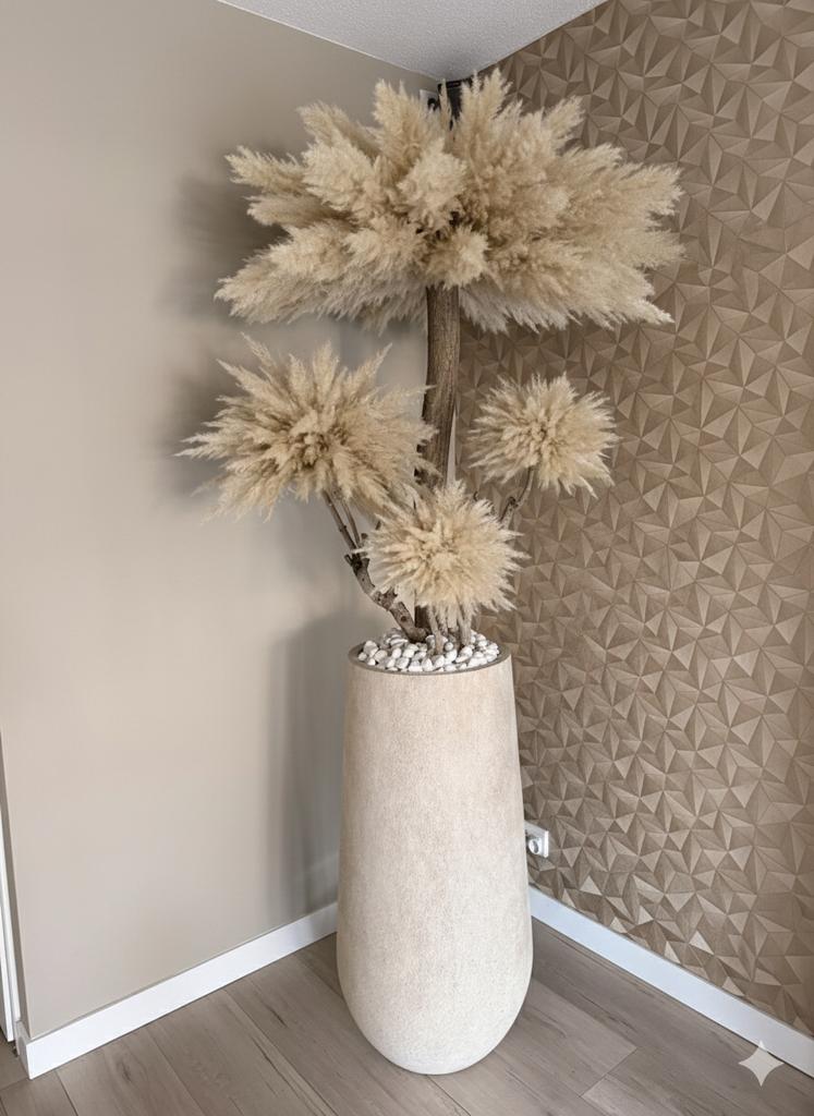 Pampas boom, Binnen, Lvkvazen, Nieuw, Info@lvkvazen.com