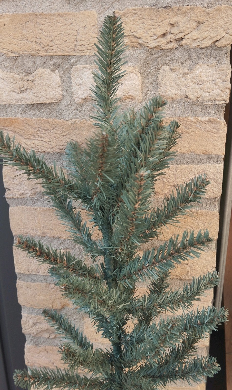 Kerstboom Triumph Tree 215 cm  matterhorn Fir Blue Premium, Ophalen