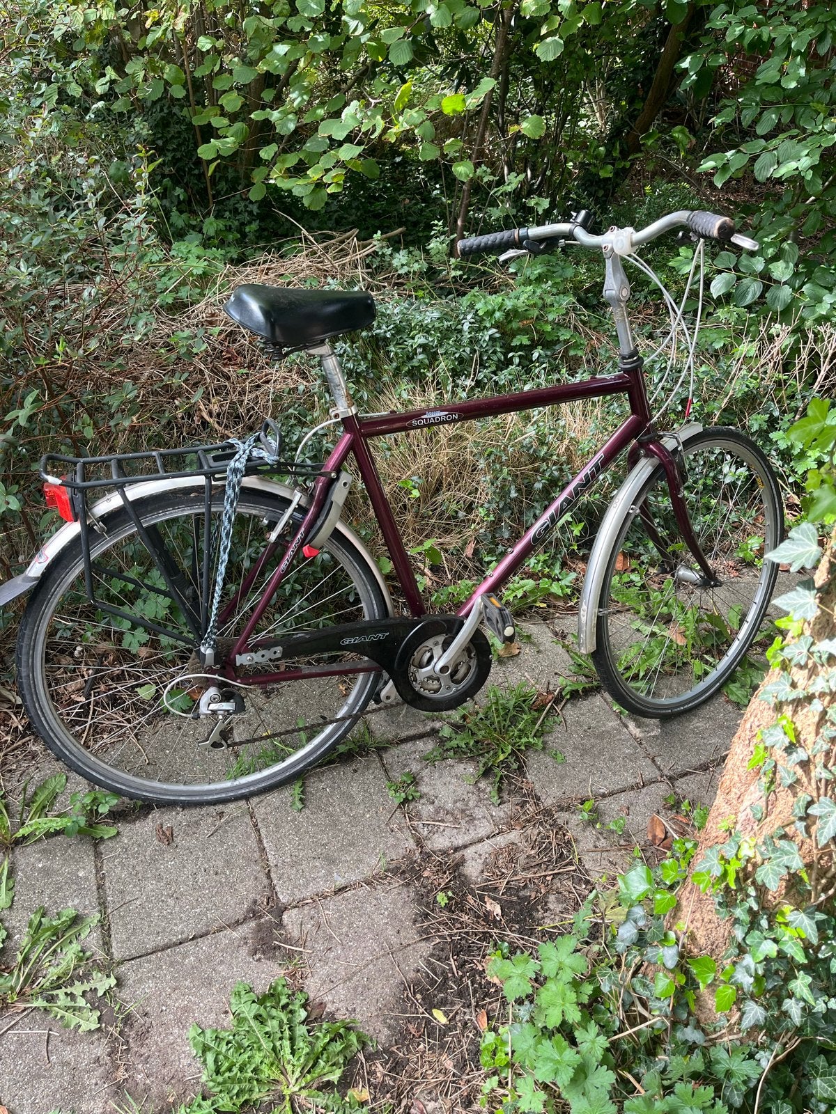 Giant Squadron herenfiets, Ophalen, Gebruikt, Velgrem, Versnellingen
