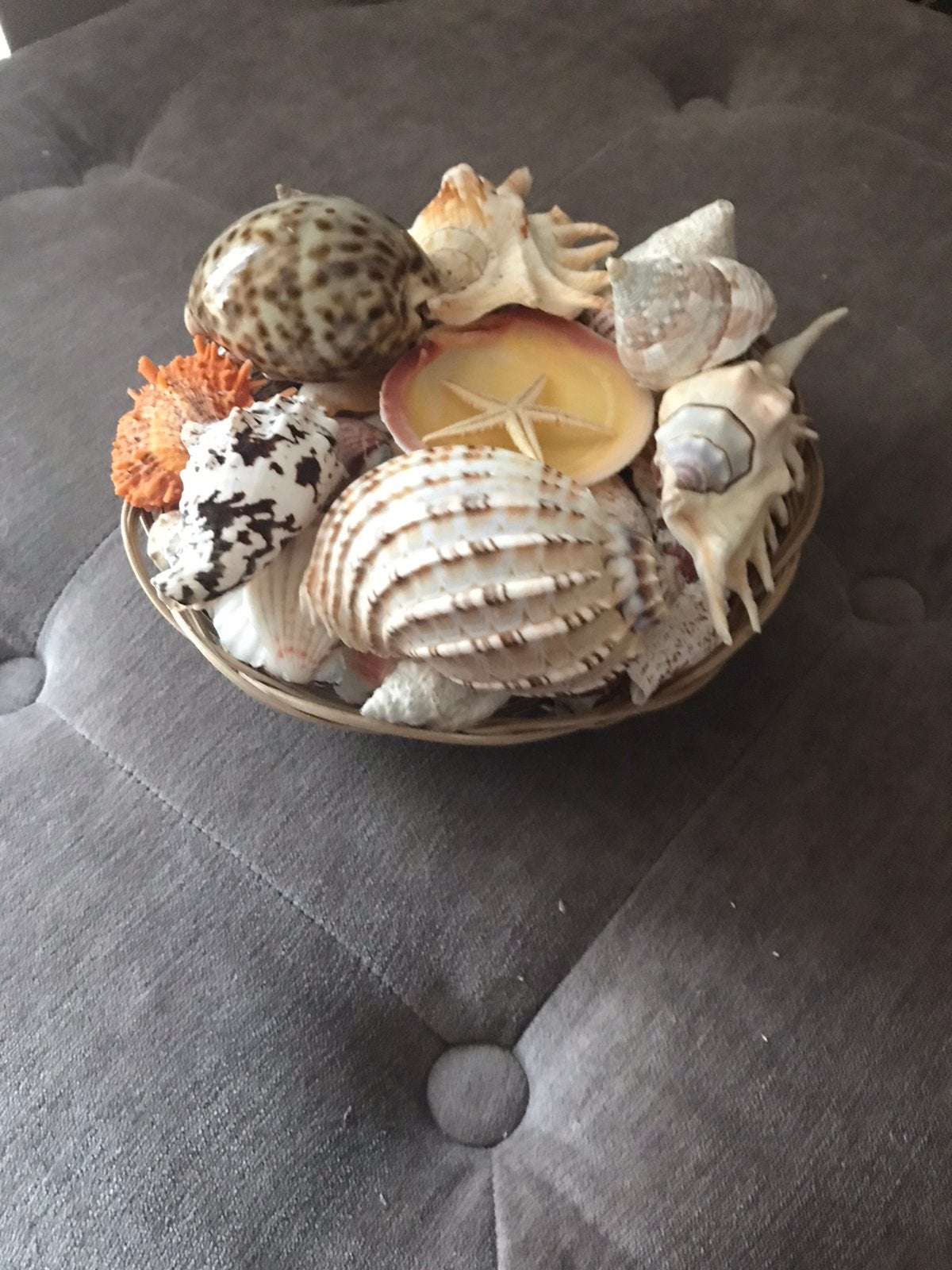 Schelpen in mand, Ophalen, Schelp(en)