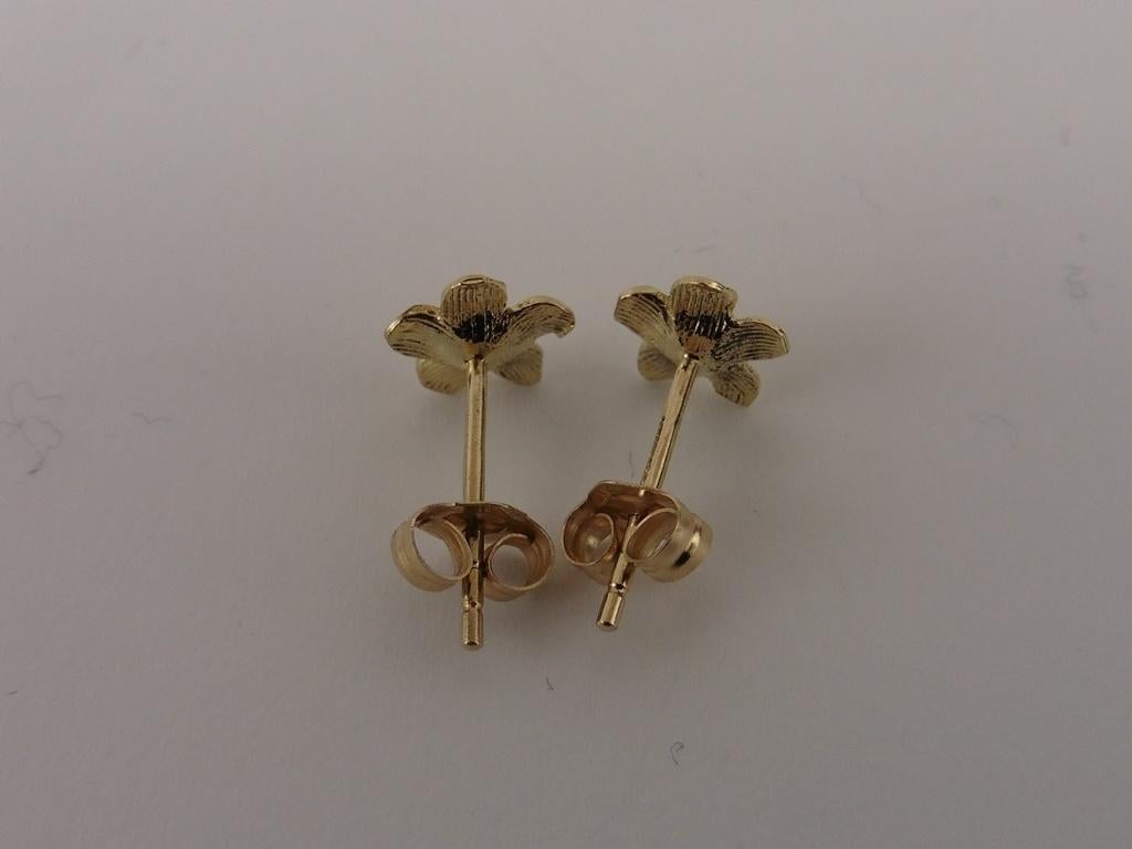 Gouden oorknopjes                                       G127, Gebruikt, ., Ophalen of Verzenden, .
