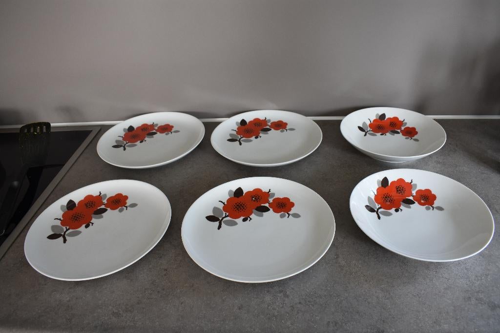 Arzberg borden 6 x met rode grote bloemen art deco vintage, Antiek en Kunst, Antiek | Servies los, Ophalen of Verzenden